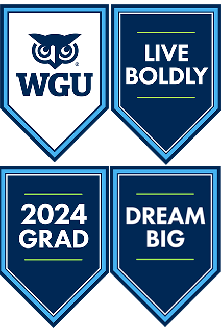 virtual flags option 2