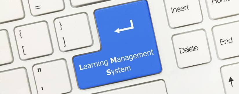 LMS systems can be useful tools for teachers