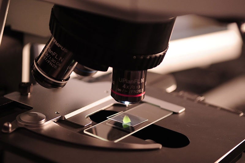 Science learning with microscope
