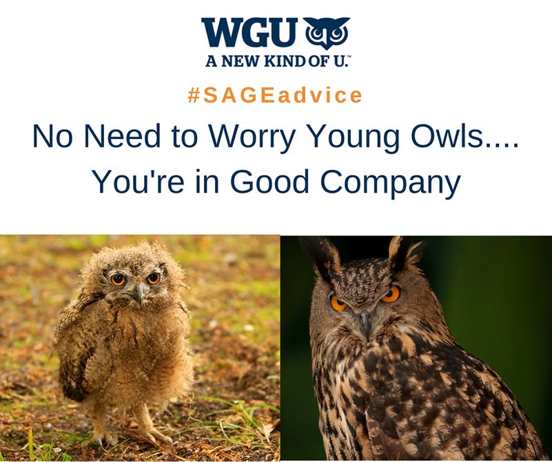 WGU sage advice graphic