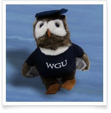 WGU Night Owl
