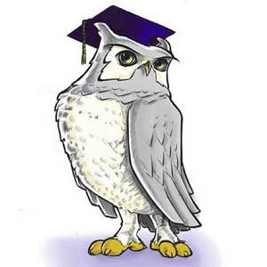 Sage the night owl wearing a grad cap