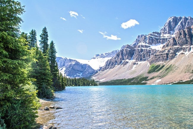 Environment landscape
