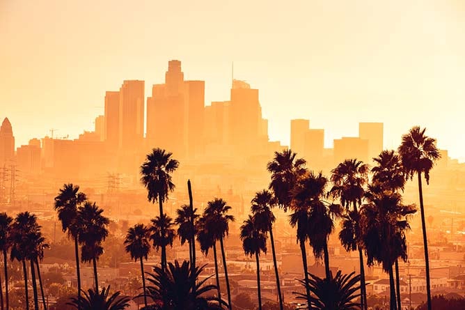 Image of the LA skyline with palm tree silhouettes in the foreground.