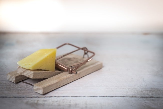 business risk plan definition Mouse trap with cheese