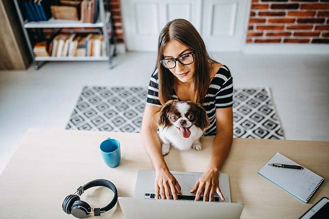 A woman works at home with her dog sitting in her lap.