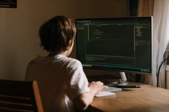 Security architect working on code