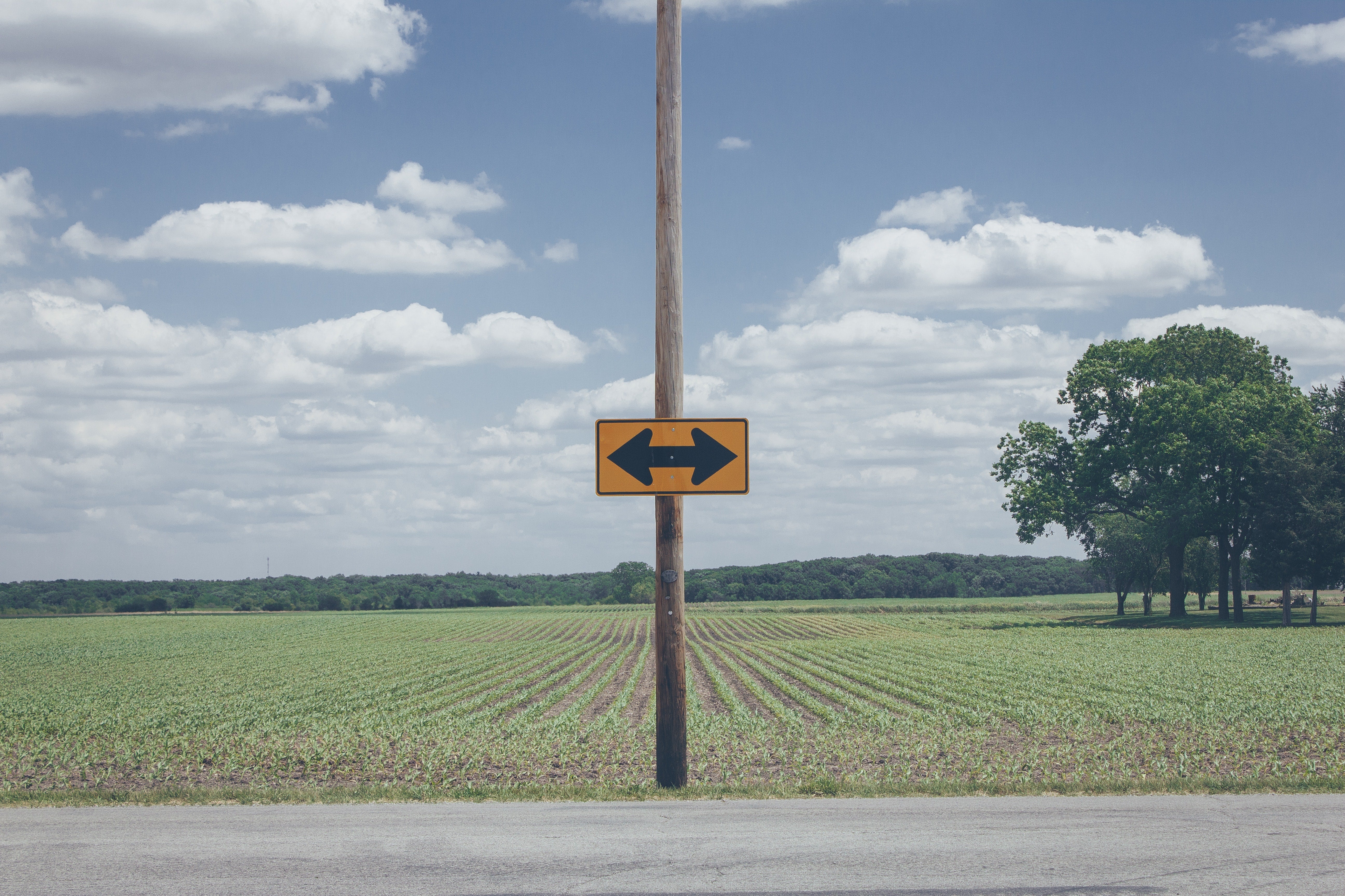 a sign with an arrow pointing left and right in front of a field at the end of a road