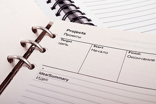 Program manager document