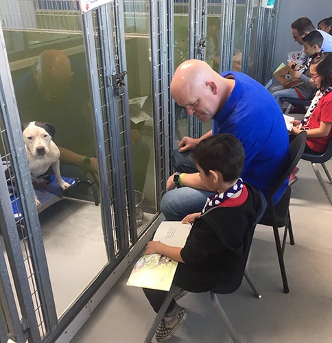 Kid looking at dog
