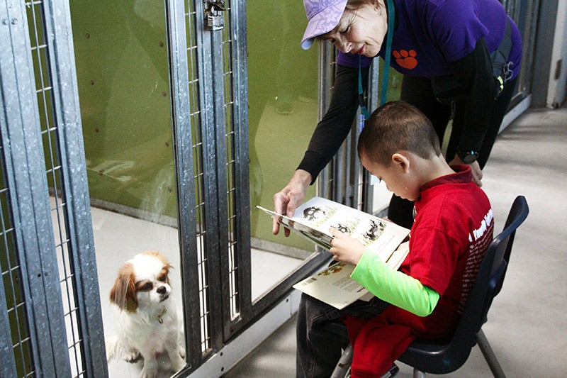 Kid reading