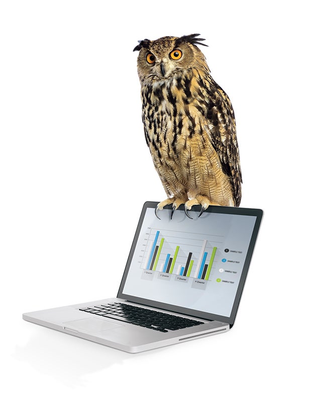 Sage on laptop