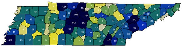 WGU Tennessee student population