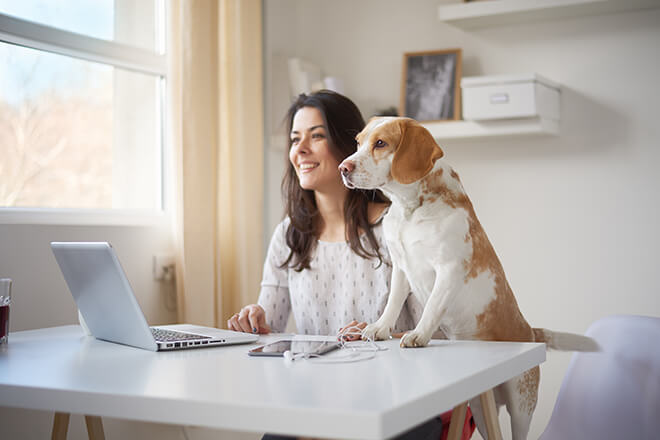 woman working from home, with dog