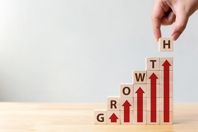 wooden blocks spelling out growth