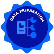 Data Preparation Certificate