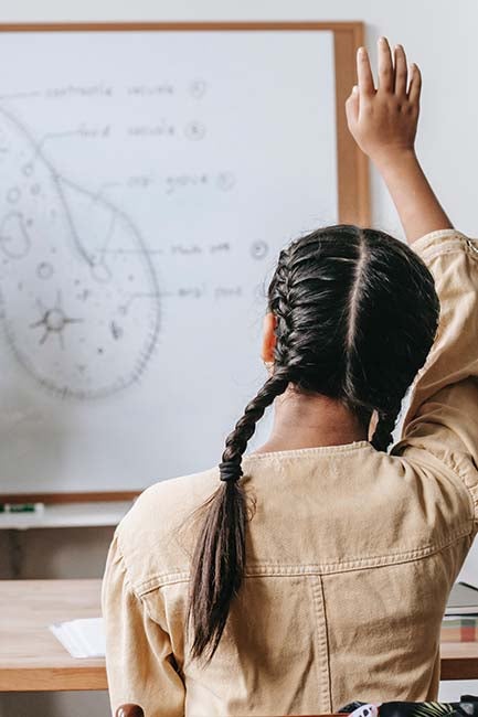 Girl raising her hand in a Biology class