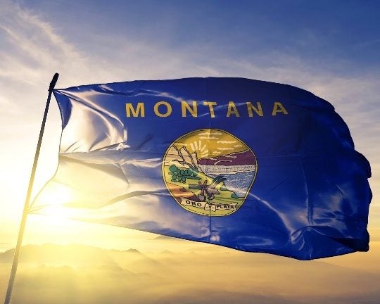 Montana state flag