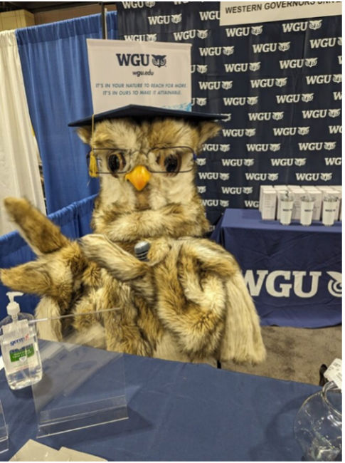 Sage the owl sitting at desk