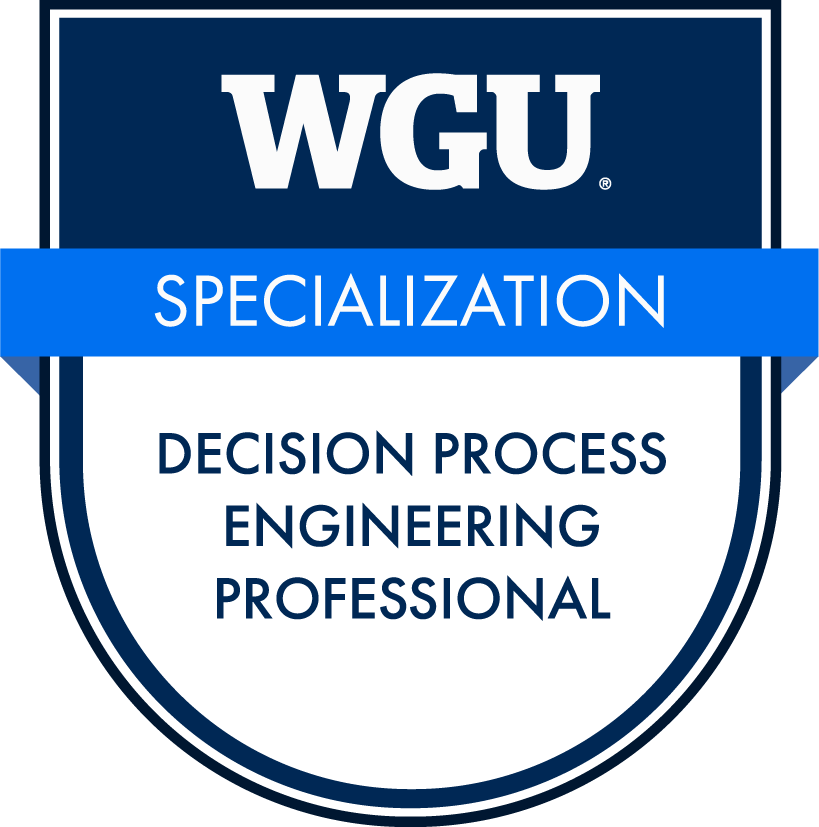 Decision Process Engineering Professional