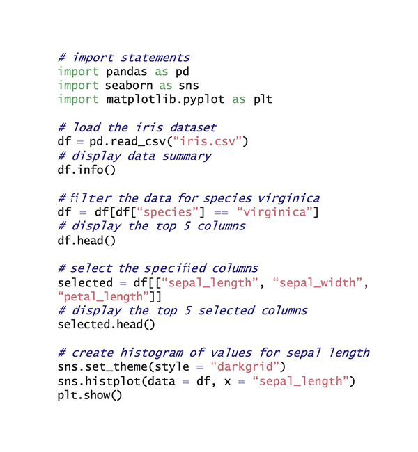 python example